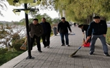 向祖國獻禮，志愿活動在行動